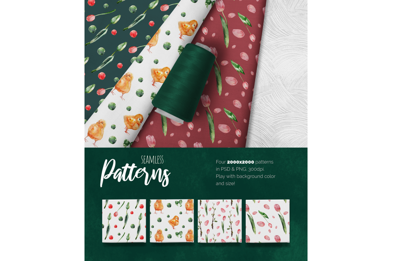 tulips-and-macaroons