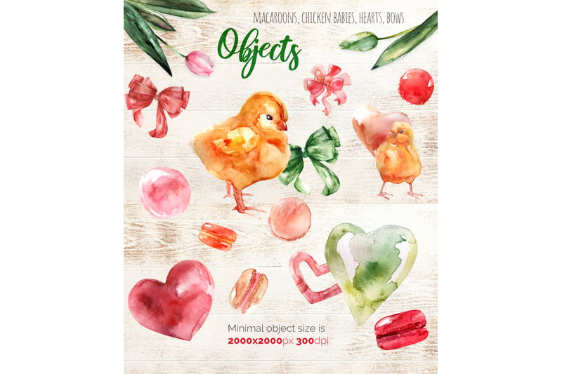 tulips-and-macaroons