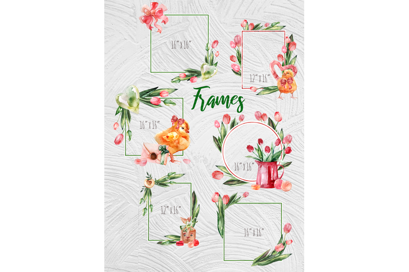 tulips-and-macaroons