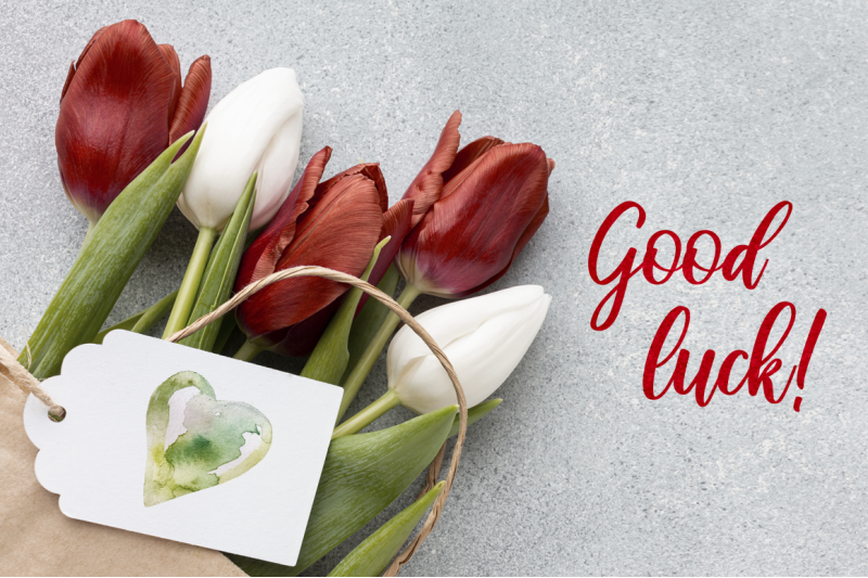 tulips-and-macaroons