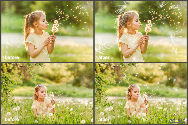 50-dandelion-flowers-photo-overlays-photoshop-overlay