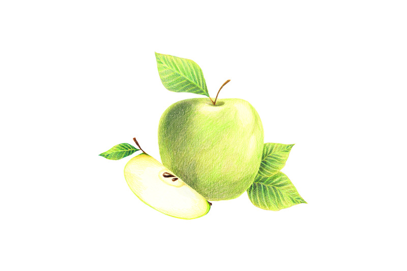 apple-hand-drawn-food-botanical-illustration