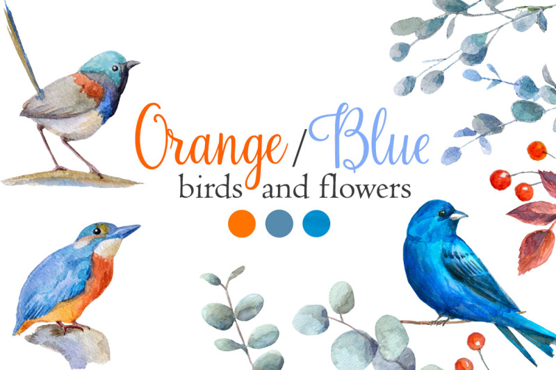 watercolor-orange-blue-birds-flowers