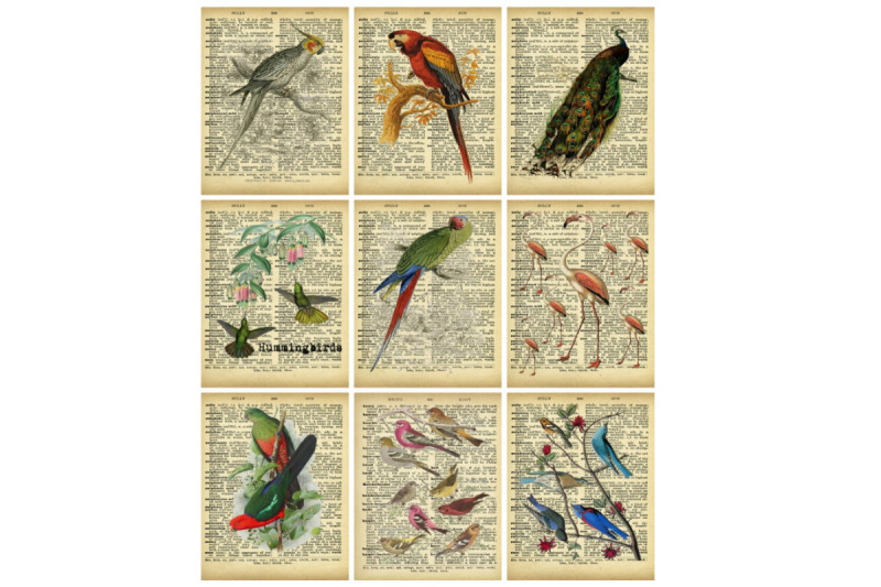 dictionary-pages-birds-collage-tags
