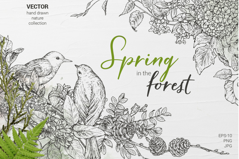 spring-in-the-forest-vector-set