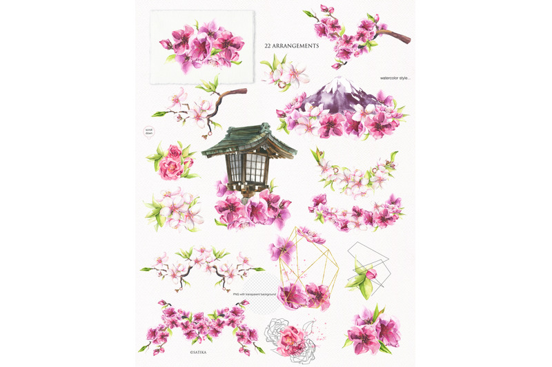 watercolor-amp-line-art-sakura-flowers-clip-art-illustrations