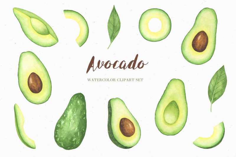 Watercolor Avocado Clipart Set and Seamless Patterns By ...