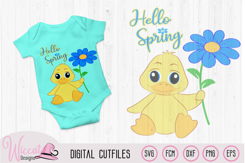 hello-spring-baby-boy-duck