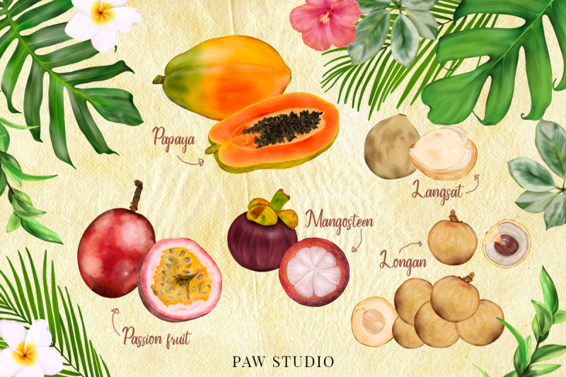 tropical-graphic-fruits-flowers-leaves-exotic-frames-bouquets