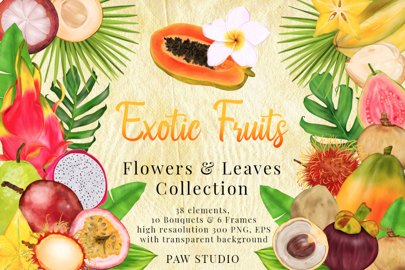 tropical-graphic-fruits-flowers-leaves-exotic-frames-bouquets