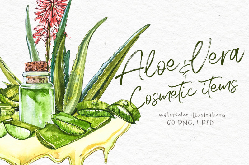 aloe-vera-botanical-illustrations