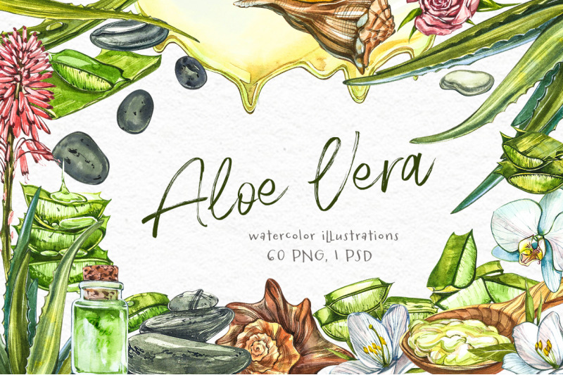 aloe-vera-botanical-illustrations