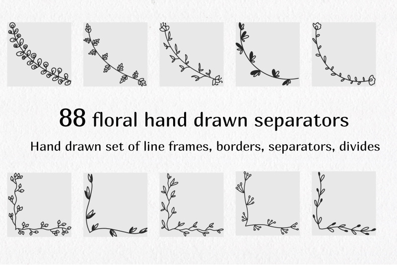 separators-and-text-dividers-hand-drawn-floral-and-herbal-elements