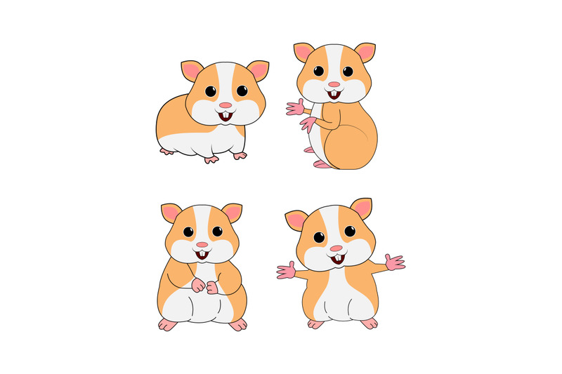 hamster