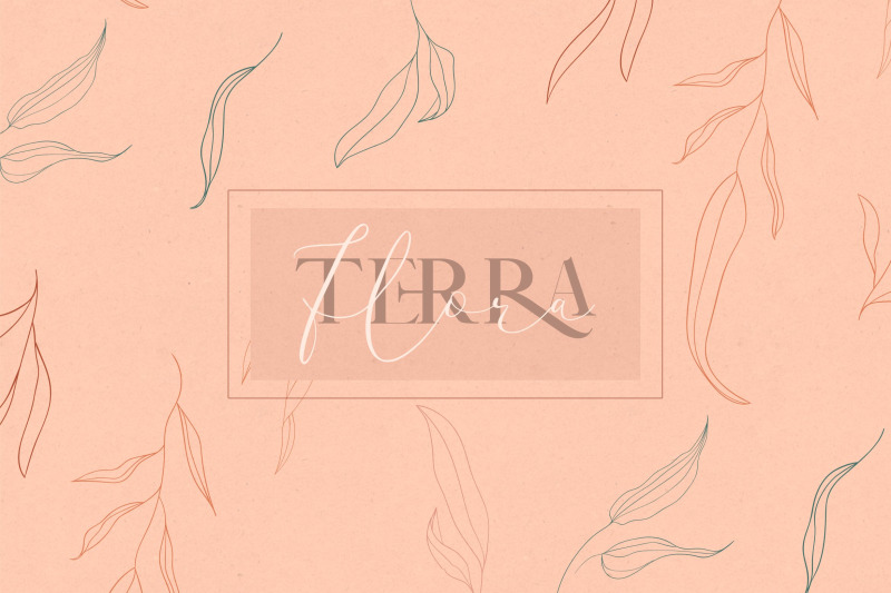 terra-flora-abstract-collection-of-line-drawing-leaves-illustrations