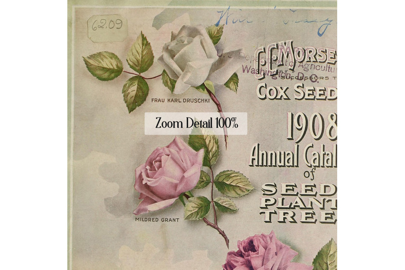 16-antique-rose-garden-victorian-europe-digital-paper-8-5x11