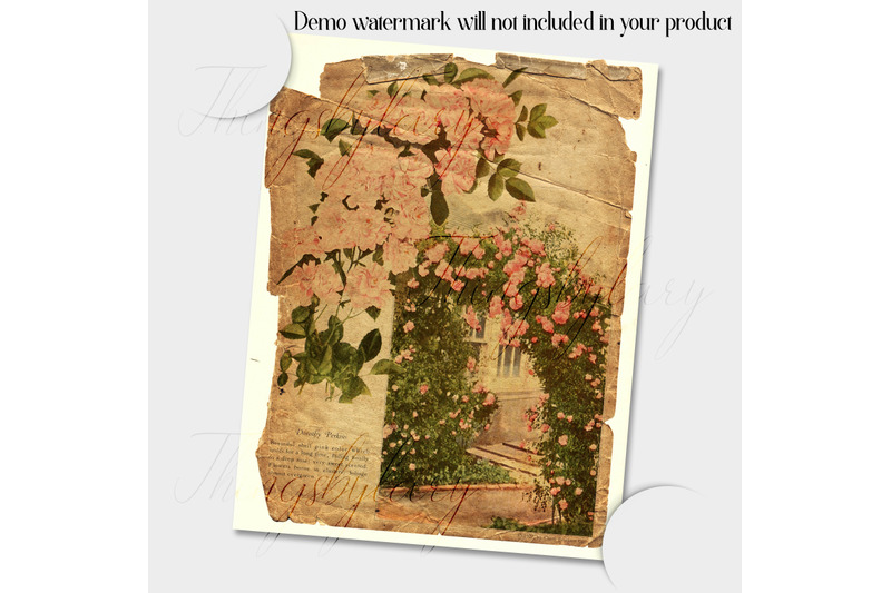 16-antique-rose-garden-victorian-europe-digital-paper-8-5x11