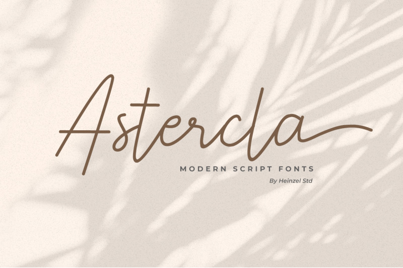 astercla-modern-script-font