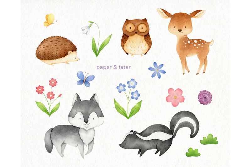 Watercolor Woodland Animals 2 Clipart Graphics By PaperAndTater ...