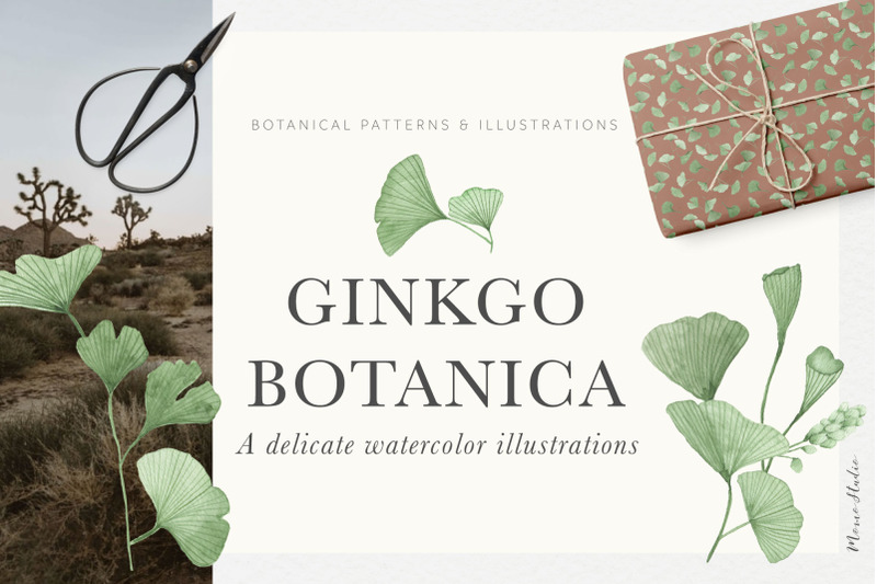 ginkgo-botanica-florals-amp-leaves