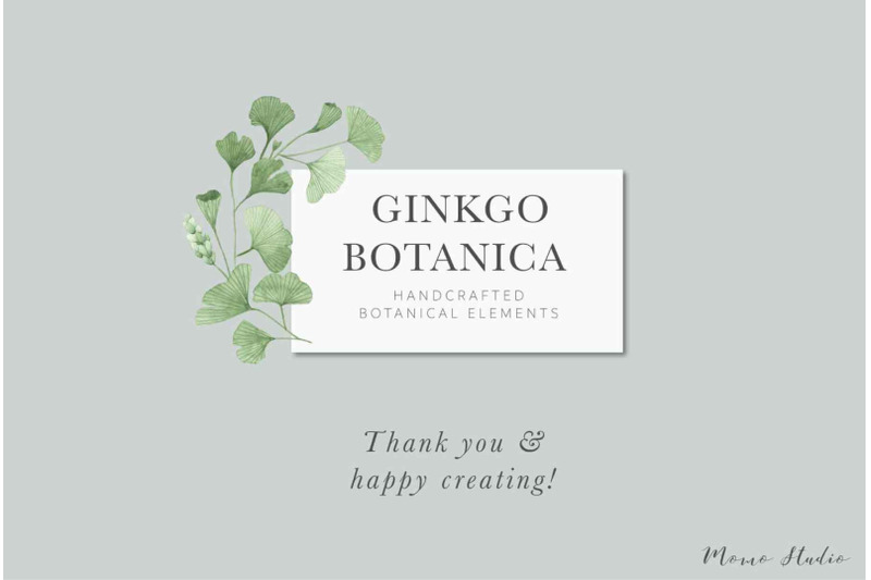 ginkgo-botanica-florals-amp-leaves