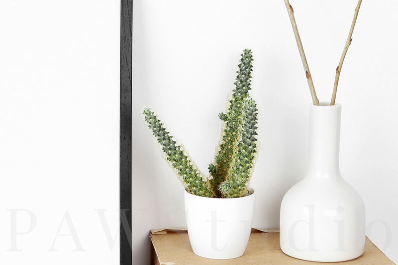 black-photo-frame-mockup-with-cactus