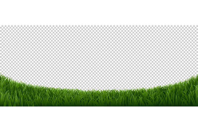 realistic-grass-border-green-herb-lawn-garden-herb-plants-frame-fre