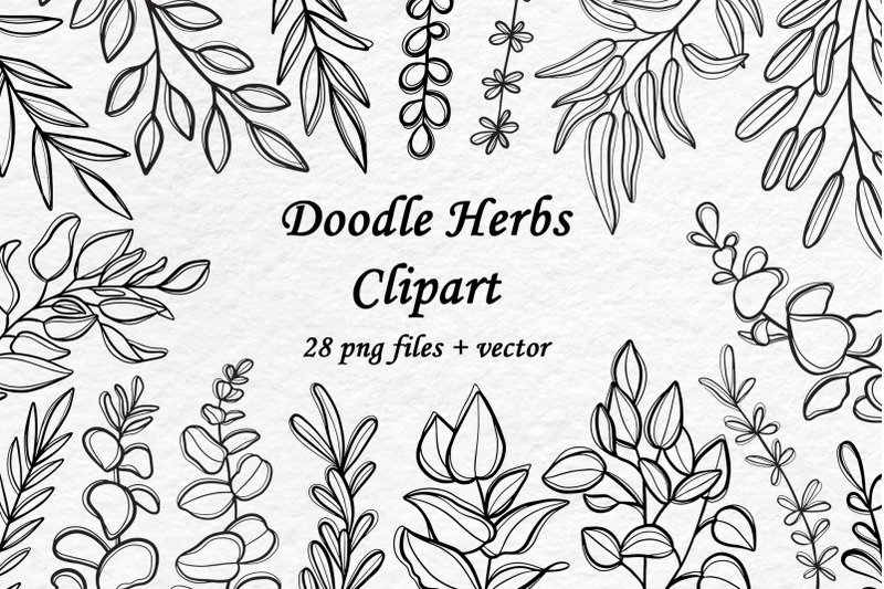 doodle-herbs-clipart