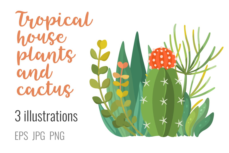 tropic-plants-and-cactus-composition