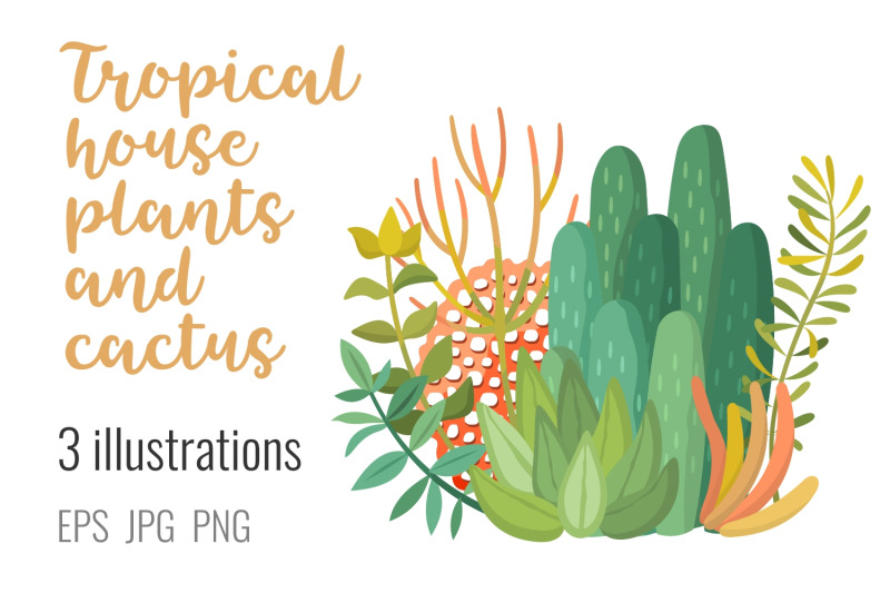 tropic-plants-and-cactus-composition