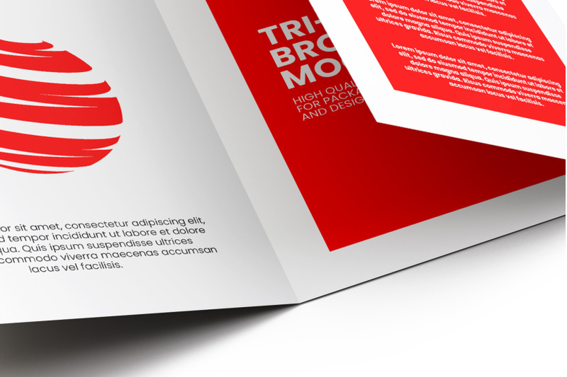 tri-fold-a5-brochure-mock-up