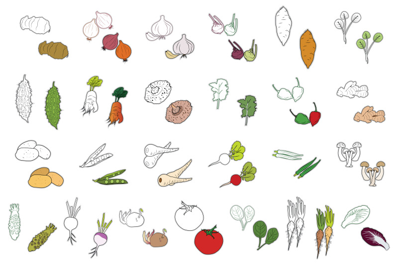 100x-ultimate-vegetable-collection-color-and-line-art-illustration