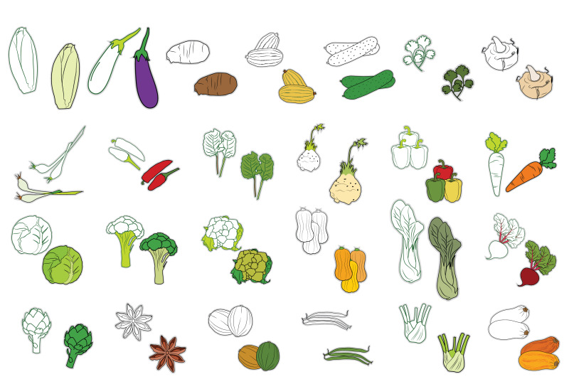 100x-ultimate-vegetable-collection-color-and-line-art-illustration