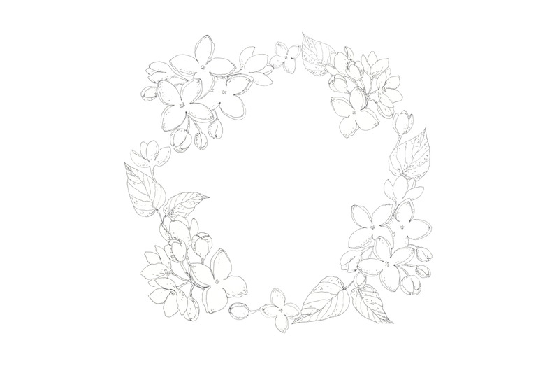 lilac-blossom-wreath-circle-frame-hand-drawn-with-pen-ink