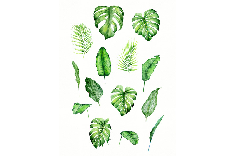 watercolor-tropical-clipart-greenery-clipart-watercolor-leaf-modern
