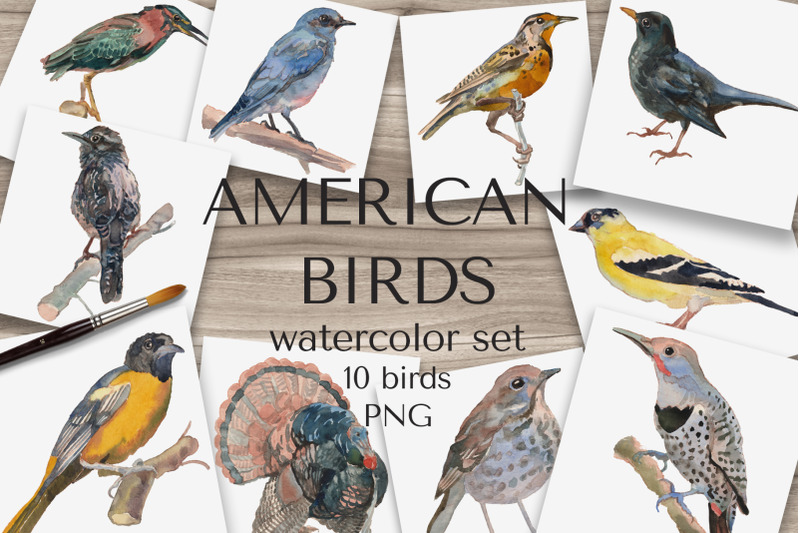 american-birds-watercolor-set