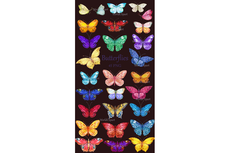 butterflies-watercolor-clipart-butterfly-butterflies-png