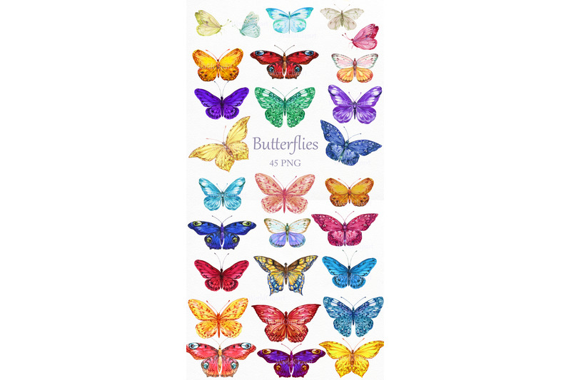 butterflies-watercolor-clipart-butterfly-butterflies-png