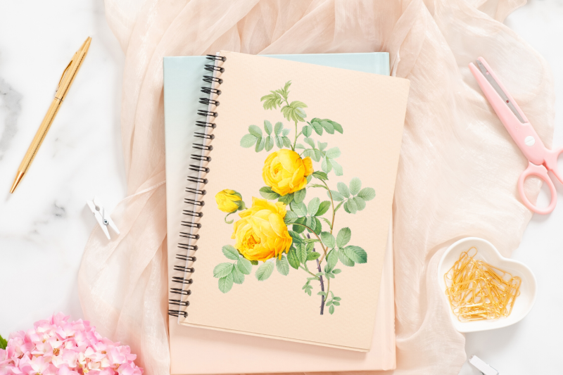 yellow-vintage-flowers-botanical-iliustration-vintage-rose