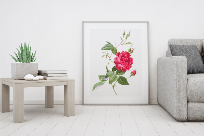 red-vintage-flowers-botanical-iliustration-vintage-rose