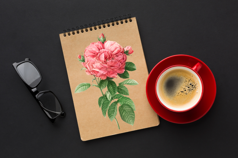 pink-vintage-flowers-botanical-iliustration-vintage-rose