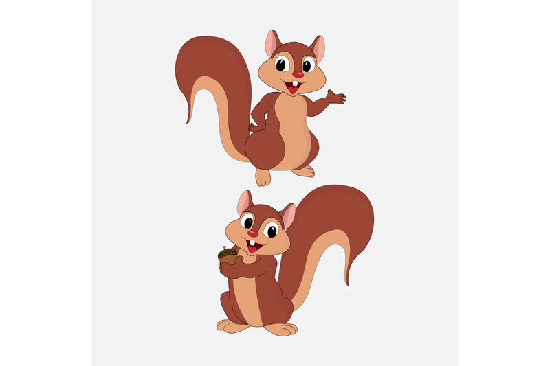 cute-squirrel