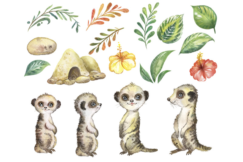 meerkats-watercolor-animals-clipart-little-safari-animals