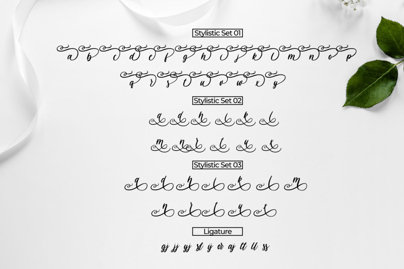 havana-a-modern-script