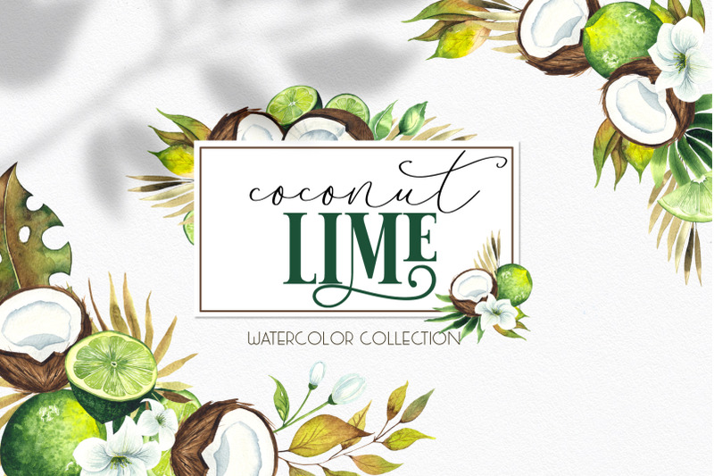 watercolor-coconut-lime-collection