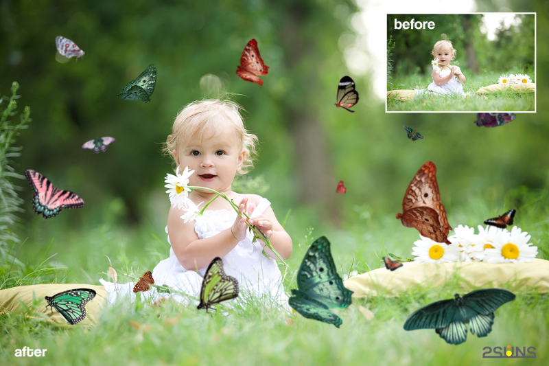 butterfly-overlay-butterflies-photoshop-overlay