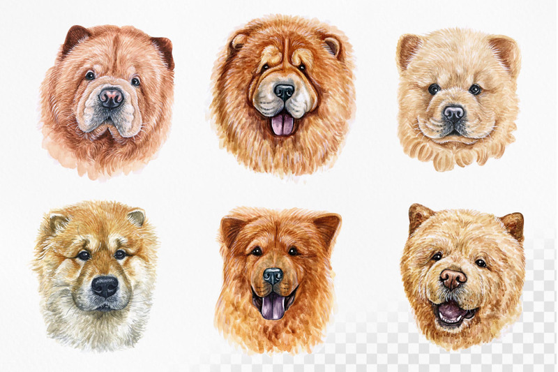 chow-chow-watercolor-set-dog-illustrations-6-dogs