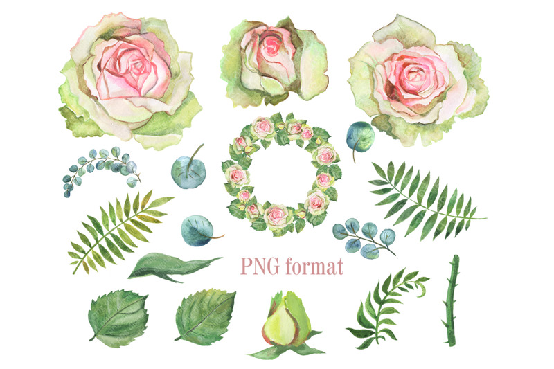 watercolor-roses-clipart-spring-and-delicate-floral-clipart-with-rose