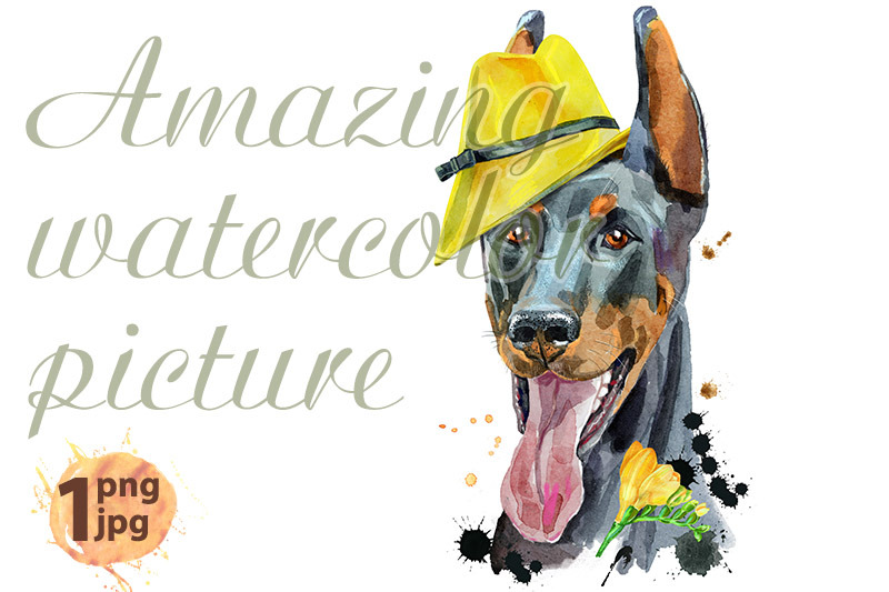 watercolor-portrait-doberman-with-yellow-hat-and-freesia