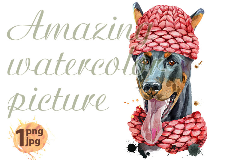 watercolor-portrait-doberman-in-a-knitted-hat